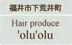 福井市下荒井町　Hair produce
'olu'olu